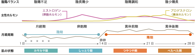 月経周期と肌周期のグラフ