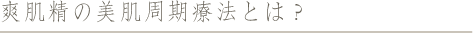 爽肌精の美肌周期療法とは？