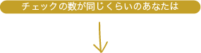 チェックの数が同じくらいのあなたは